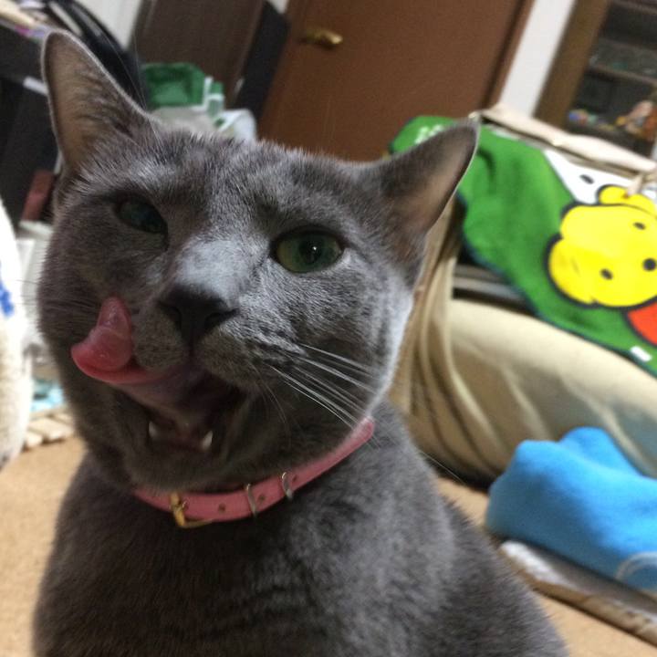 B9acc2e3 5023 4ffa 81c9 1ea7521eeacf