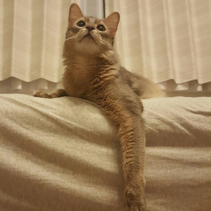 B9ad43de 5f2f 431f b6dc 5f0935c723f7