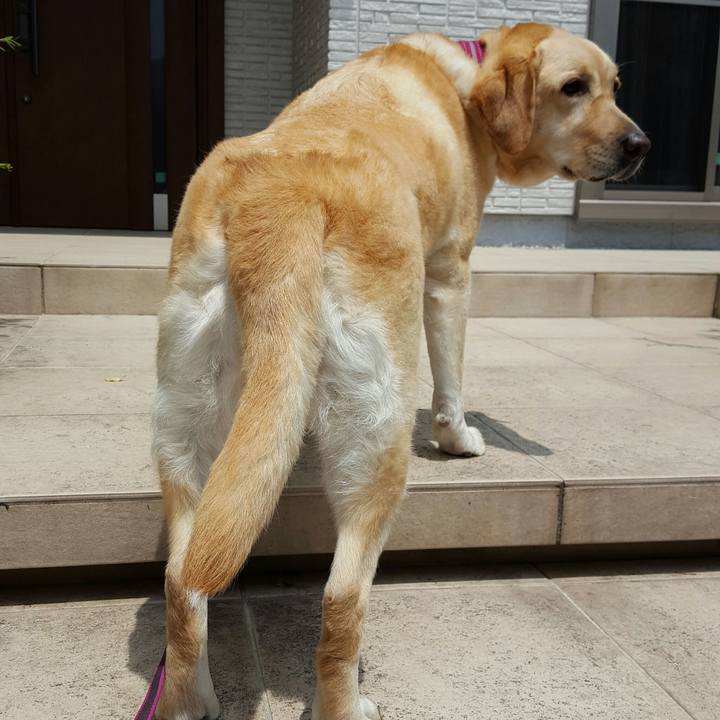 B9ad6d87 1a25 4dfd b0f8 9bc97c3d6ad6