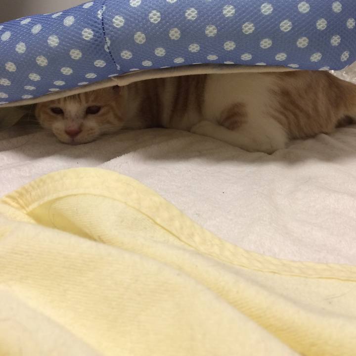 B9adbc18 ea59 466c 9fe9 f791a5abcb36