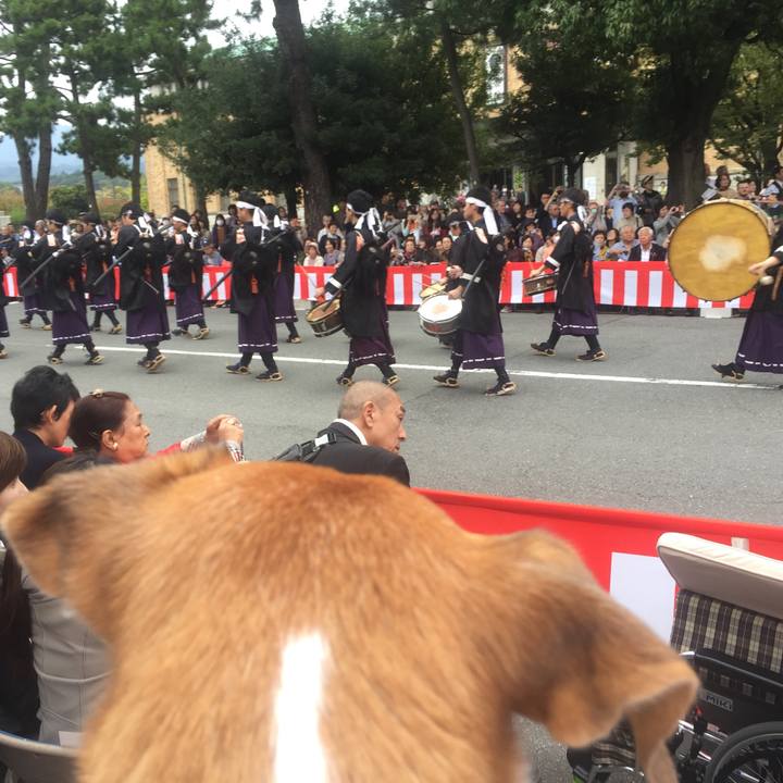 B9adeb78 00db 401d 8cfc ac8d92f3cb1d