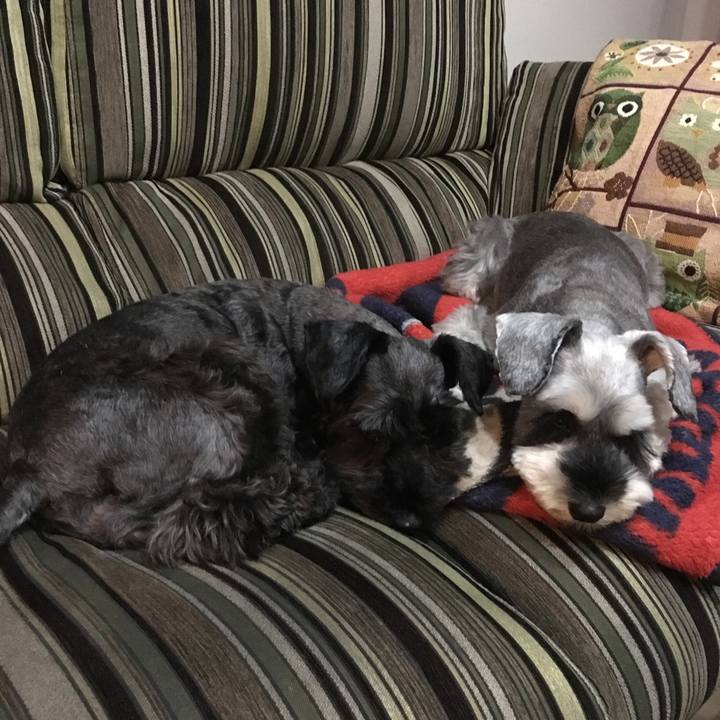 B9ae3838 be79 45cf bedd 8854ba9f6ed8