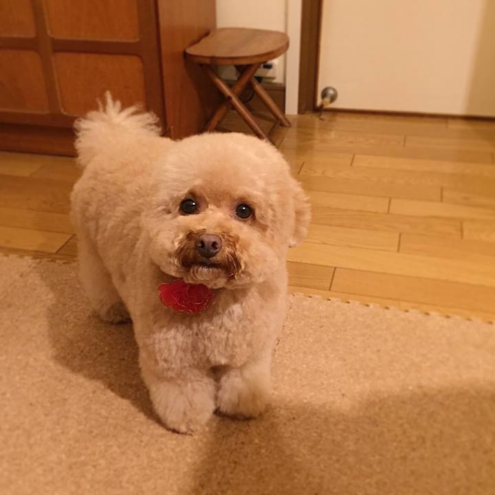 B9ae7b68 cf88 4773 982f 9cabbe0f82b1