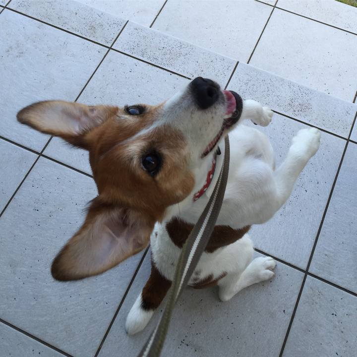 B9aeccaa 1b6d 4144 a9f4 94c2ba931954