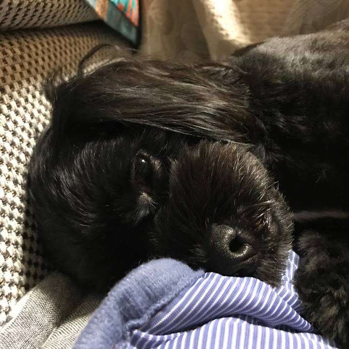 B9aed775 4069 47ce b5cb 8d1bf8b93b4c