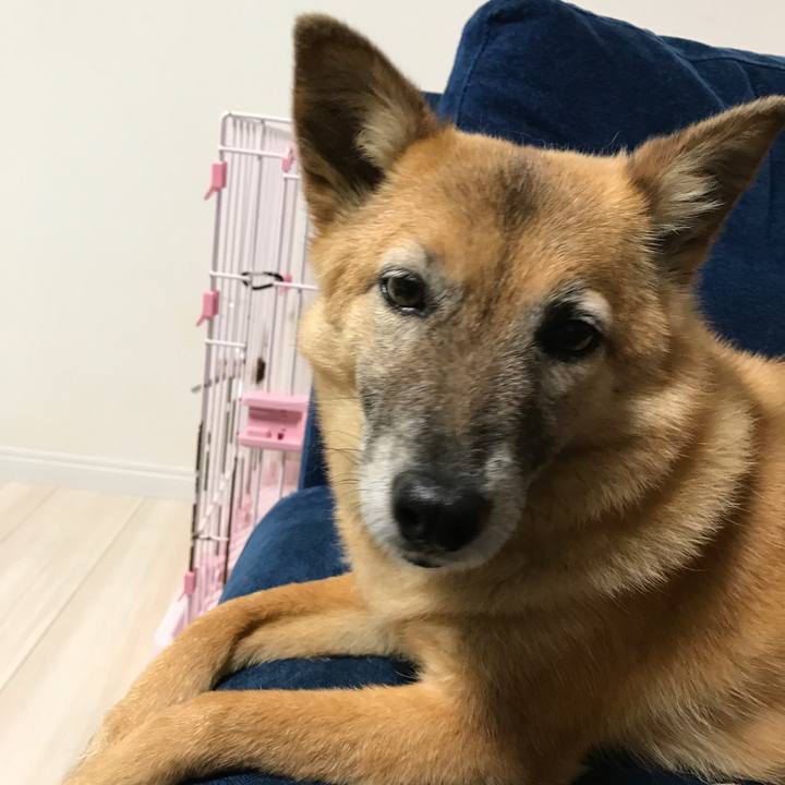 B9aefacf 3de2 401b 9fbf 1c77b3d144bc