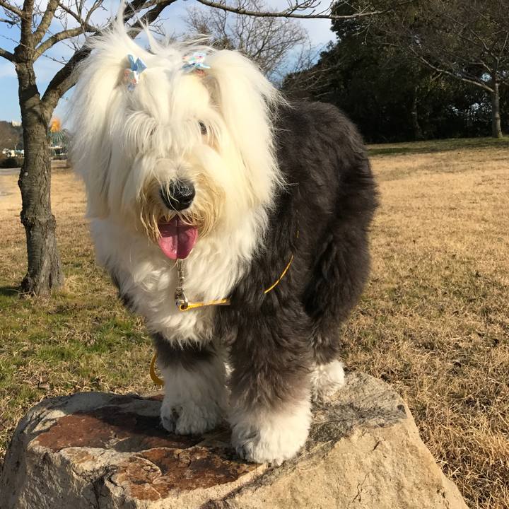 B9af9063 a42e 43c4 8c32 2cbe6084be44