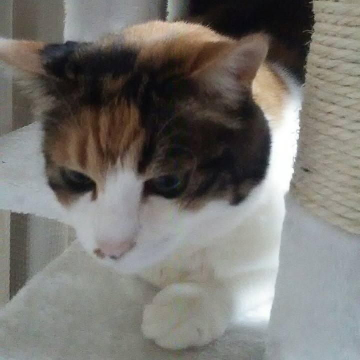 B9b00adb e835 4480 ab61 94f2cc507f39