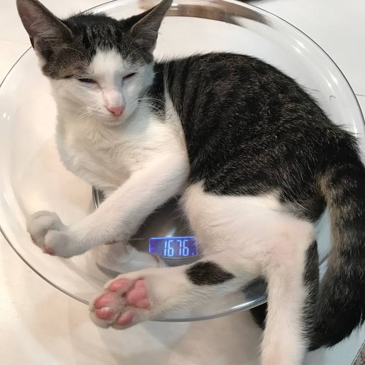 B9b03d51 6d59 44f0 8530 61c452dcf2df