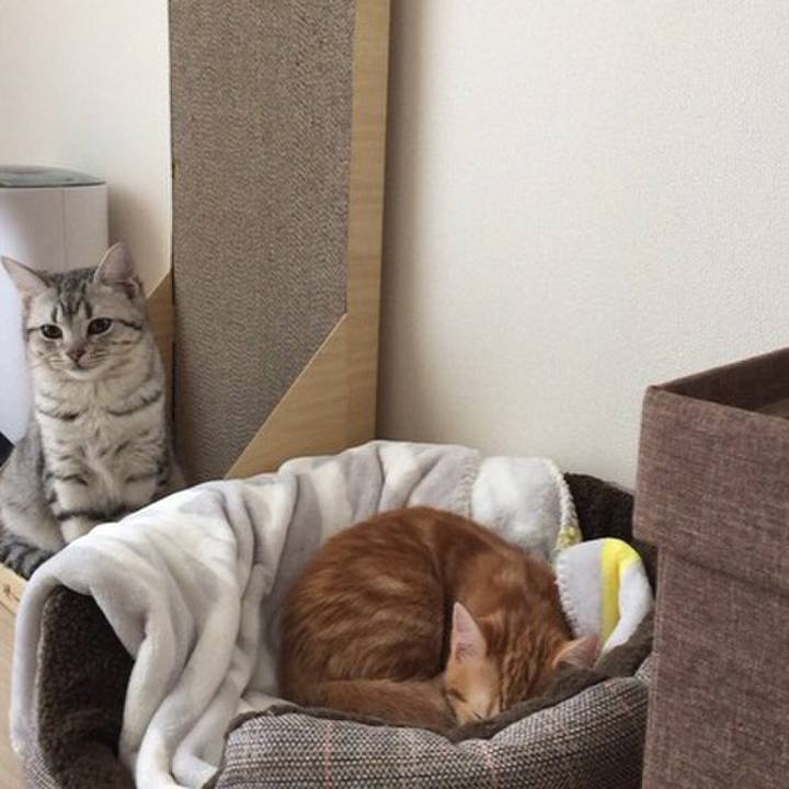 B9b0a8c5 e8fd 407f 9025 1b7419389756