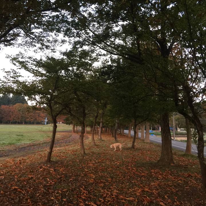 B9b0bbdf 5c02 4037 bbc4 d8425e664489