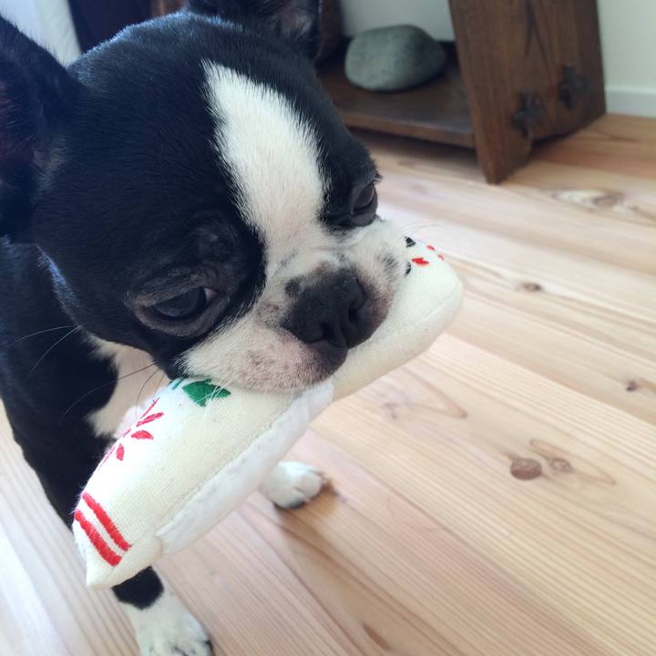 B9b0c50d 4920 40e4 8745 935cce43e49b