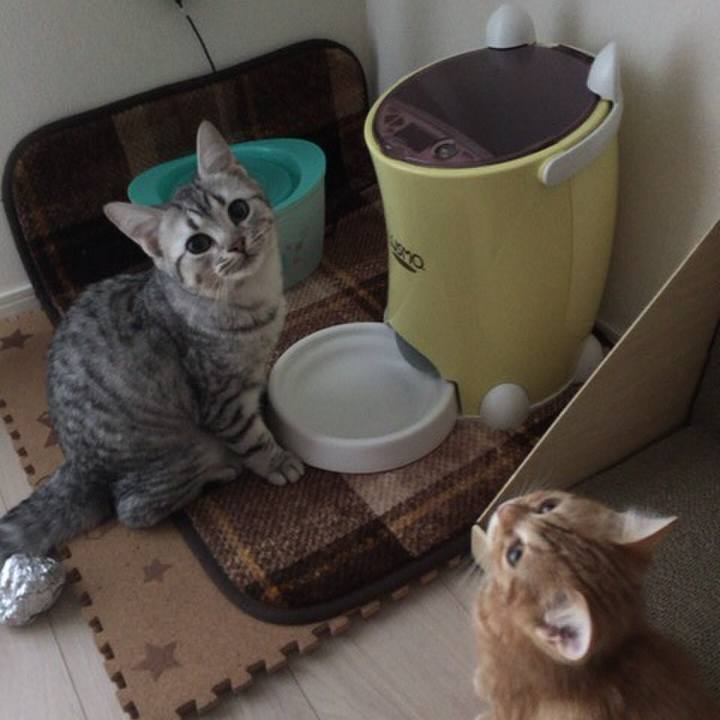 B9b10028 e58c 4204 90cc 00965987303a