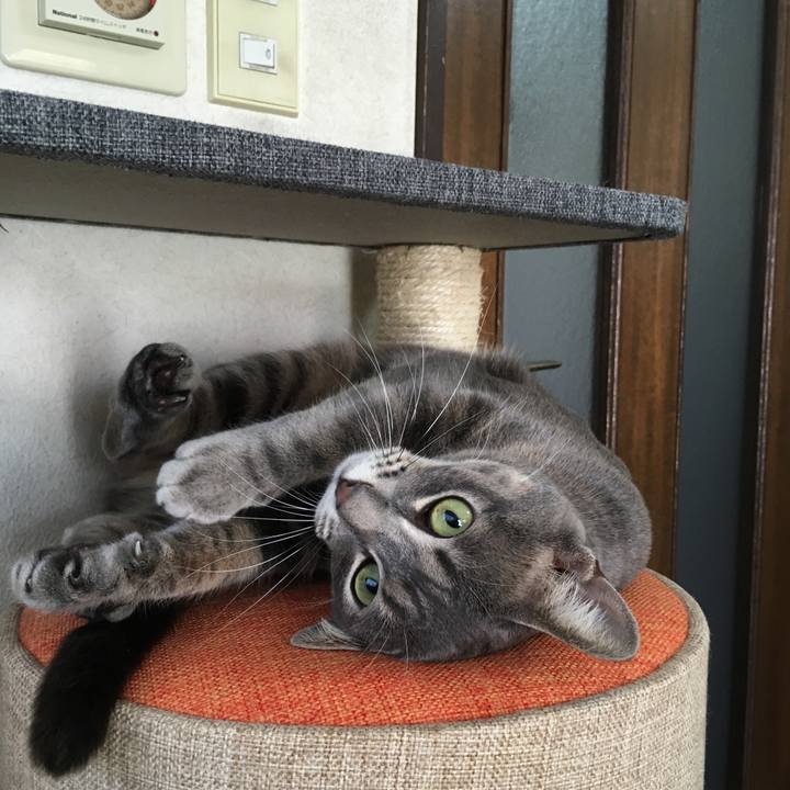 B9b1e850 62d3 43ec ba29 ade1a0b892e1