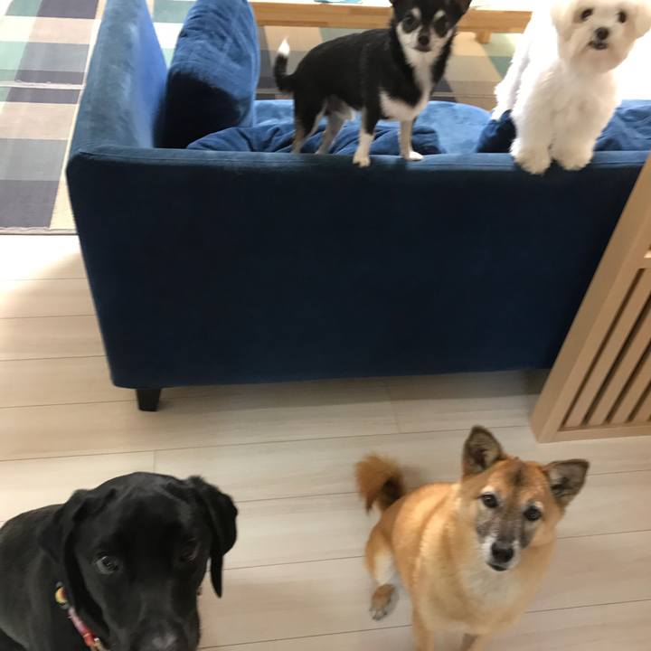 B9b20dd1 75f9 40b8 920c 3fb2f6935efb