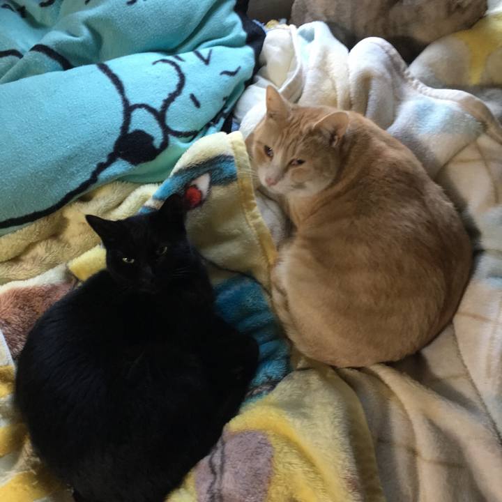 B9b24932 375b 4b2c b36a 0d11632a29b9