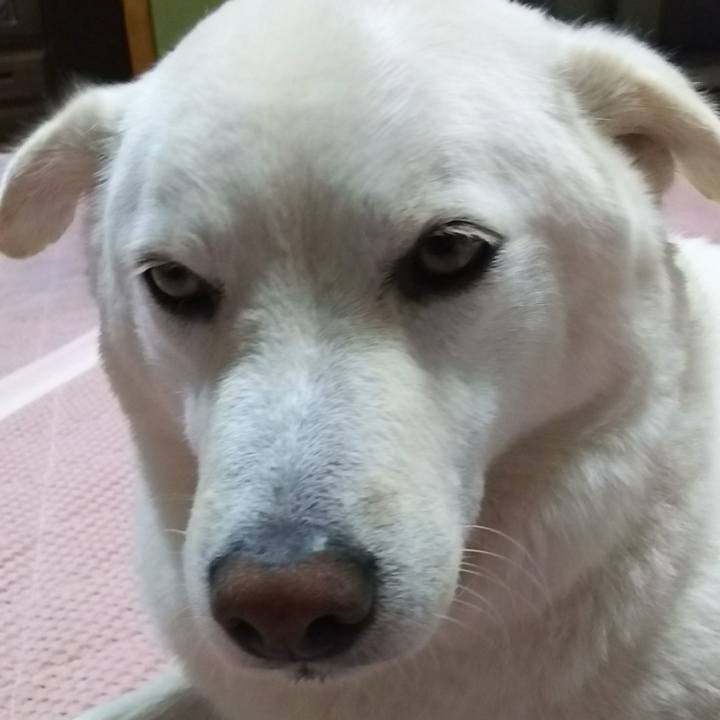 B9b2fbde 2cc0 4e3e 860c e7a2c2f67ef9