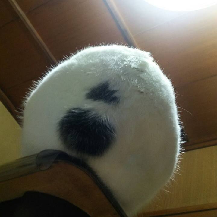 B9b334e6 1ca0 4173 b462 27699cc6b17e