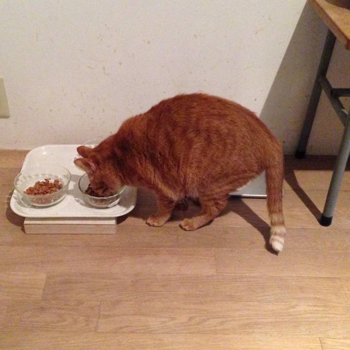 B9b3cedd 854b 4baf 9633 a0edd912fcdd