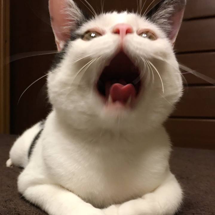 B9b3ea23 8732 4d0d b2f8 ca4861d9dcaa