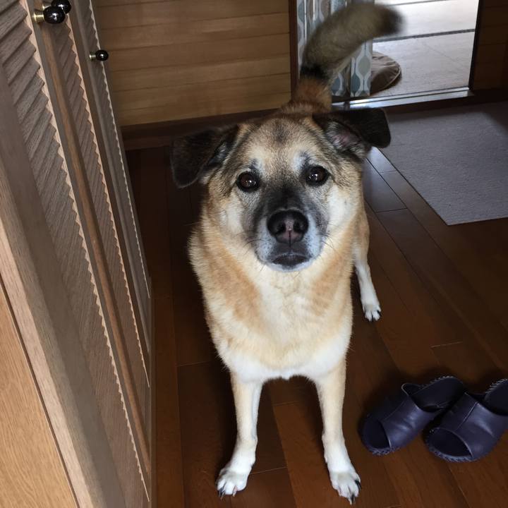 B9b4cec7 17dc 49ef 80ab 40d487baeaf5