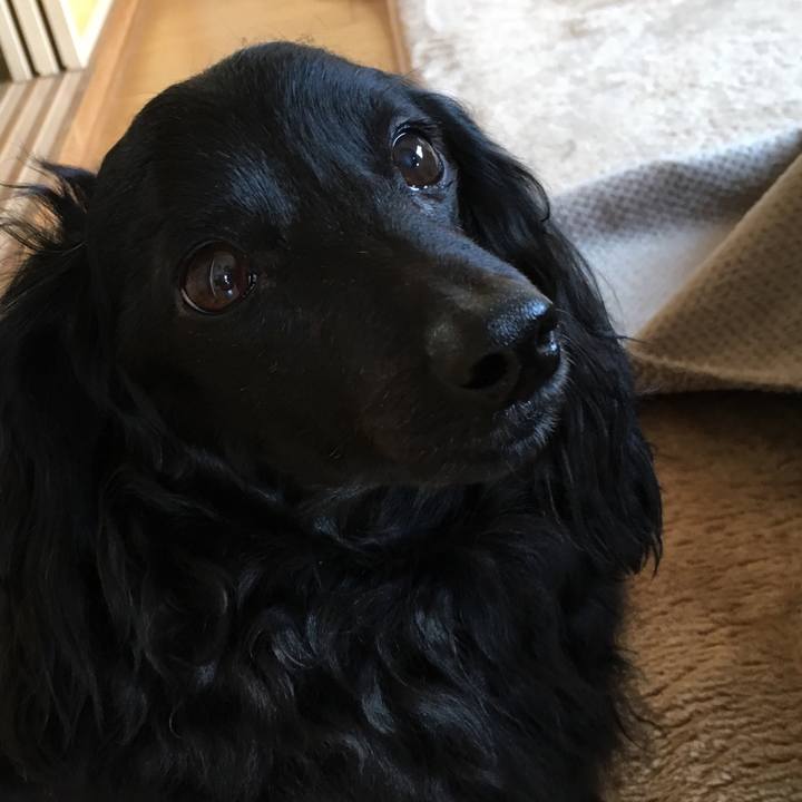 B9b4d5c5 98b2 4521 9a83 2e0da1b2e500