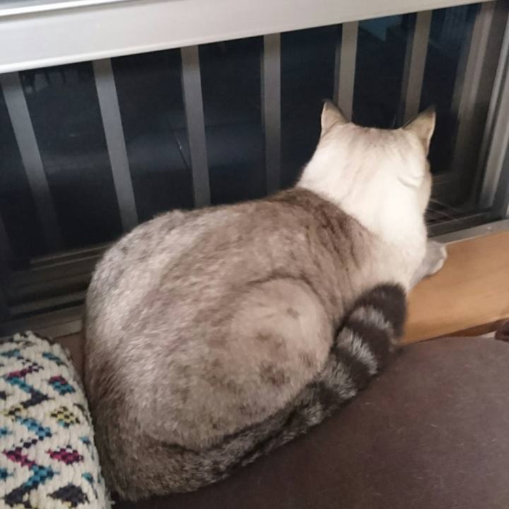 B9b4f8d1 e209 4838 9c98 02ec2d68f6ce