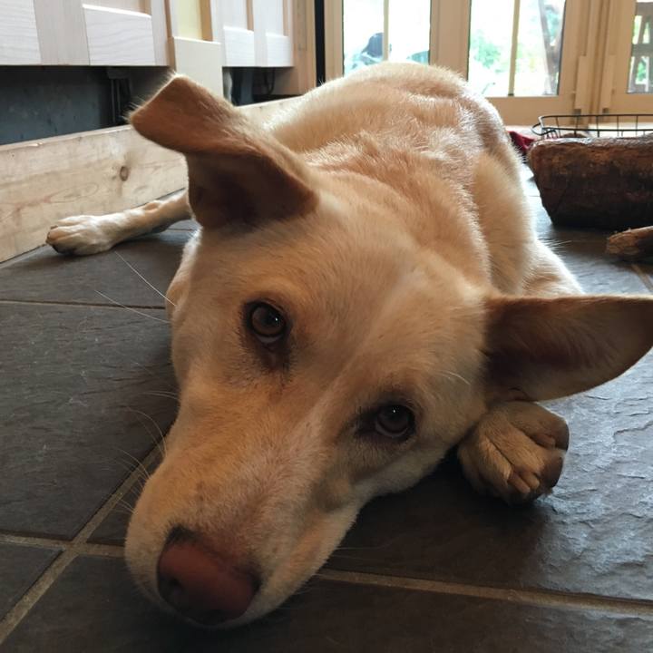 B9b5ad3b 36ff 4fba 8b2f 289528ce29b1