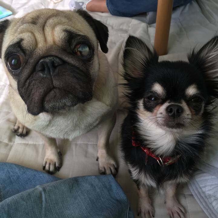 B9b63aac b060 42ae ae23 4d7c5cd06c95