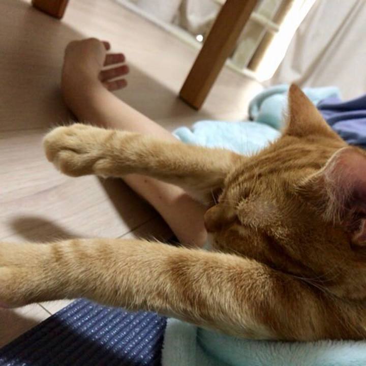 B9b63d0e 2d9d 4dbc 84d3 083b3b72189e