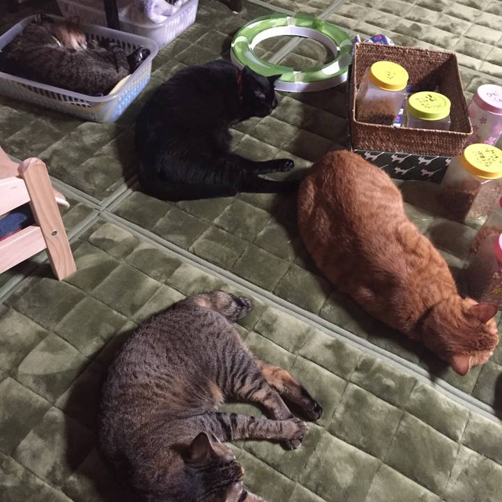 B9b6572b f2dc 4aa8 9454 afc9843a750c