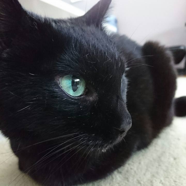 B9b72525 bccd 48ac bc62 dcb00b48420a