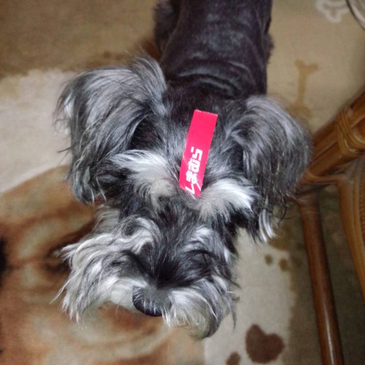 B9b725bf 380b 48ff bc55 460de16078fa