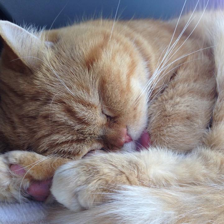 B9b73c63 d95b 43a4 a905 2b9f837942f3