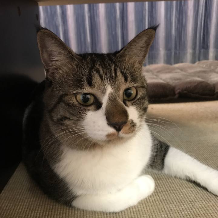 B9b7761e 6dad 4a4a bf5b 9cf1f39cab5c