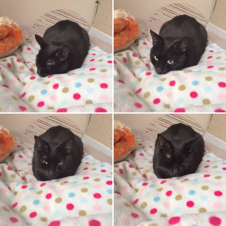 B9b7835d 4bb6 4eca b91b b3975ab1c532