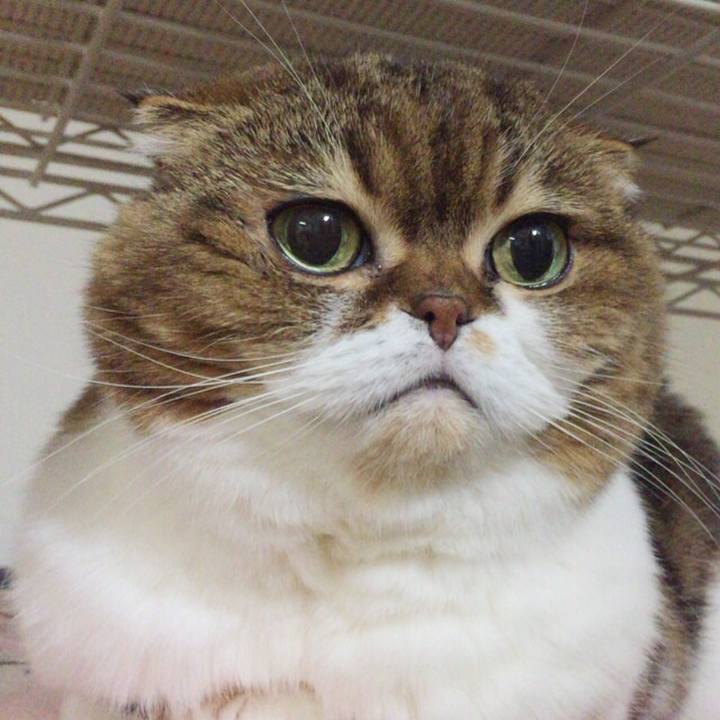 B9b7ee37 69b0 43a8 a5df e99e22acb348