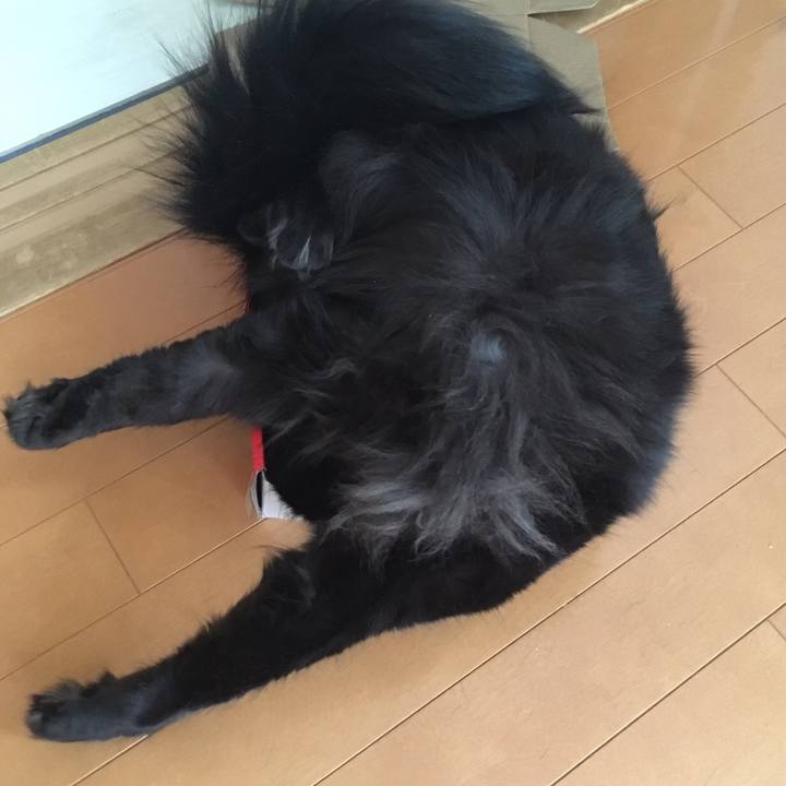 B9b800fd b6d6 46d8 81de 2df677109c29