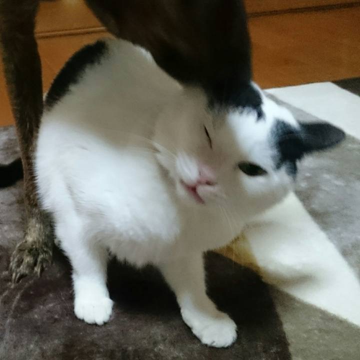 B9b88da8 a1ac 4002 a23e 4dbef71a6a42