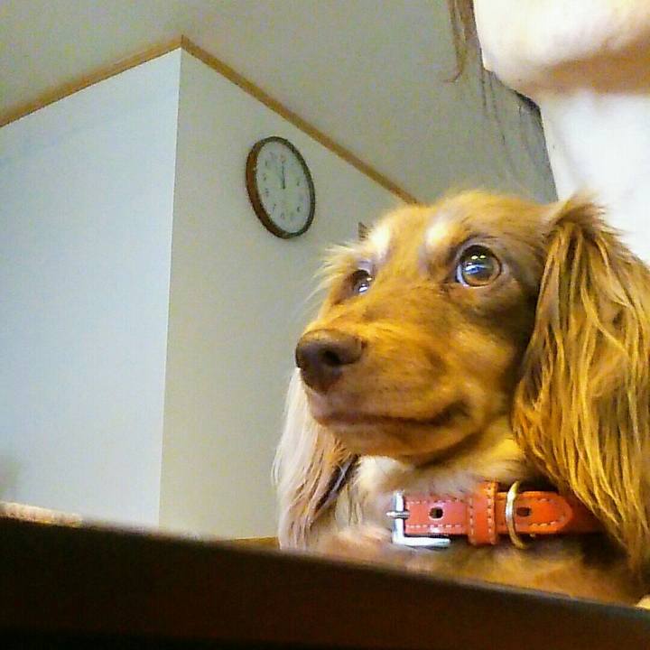 B9b8c2be 9b03 4975 b816 89c75989f6e6