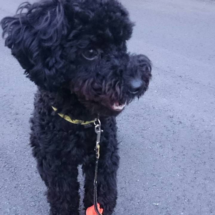 B9b8cd6f 6b26 4e3c a866 3113d54a126e