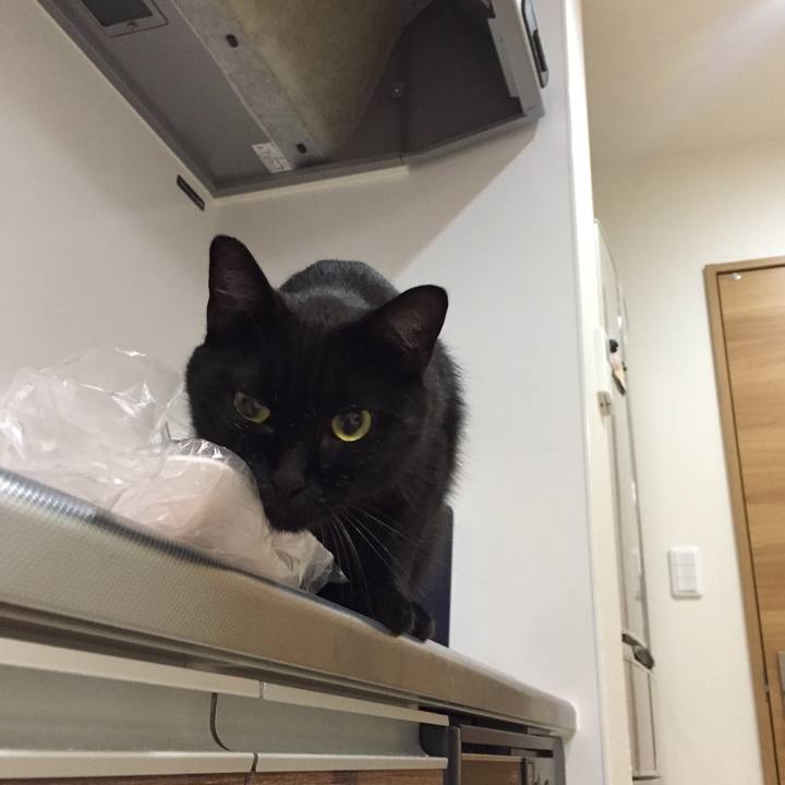 B9b8d98c 875b 4757 967b 1b8b4c92037c