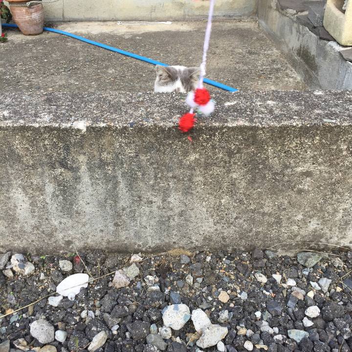 B9b92e1f 664d 4e1f b085 09c615f5d023