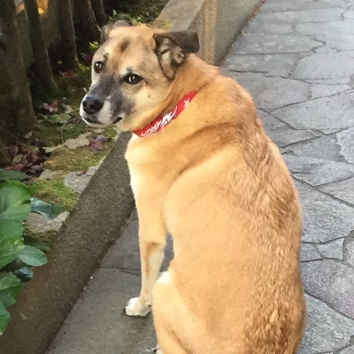 B9b951e1 7985 4f8c b8d7 3d8401d4e474