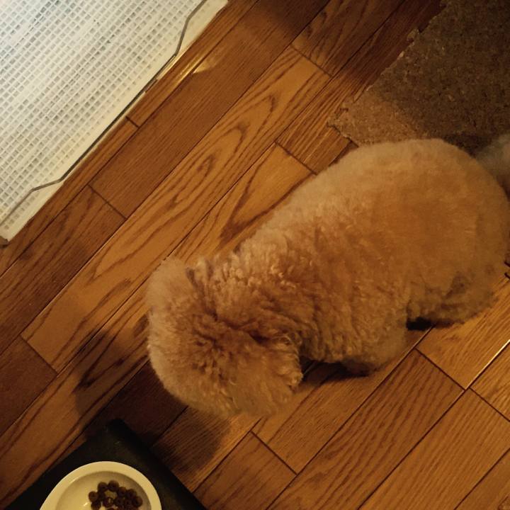 B9b9874a feb6 4415 a19c 1485409edf19