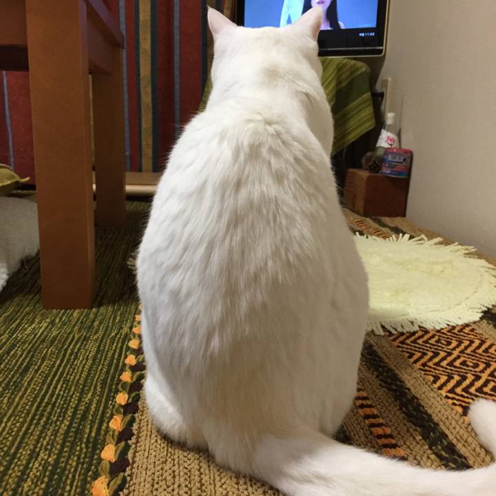 B9b9bec6 a38e 48e8 8d48 d6a8d7c327a9