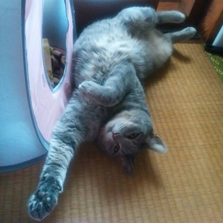 B9b9f857 c712 432d 8018 f081cdcd3f3c