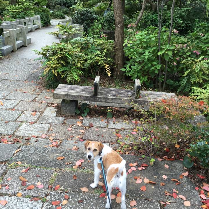 B9bab91f 301e 4d51 9bc5 a583ed1a7a78