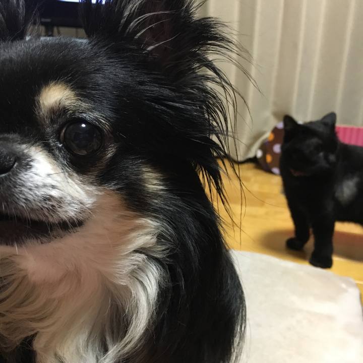 B9babcab 8852 4627 a8ce 24521ac607f3