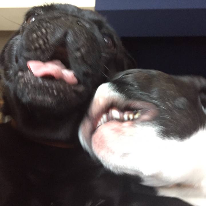 B9bad863 3bf0 4539 8dc1 61f1862d6a7b